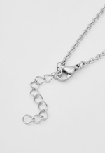 Ожерелье SHANYRAQ BLUE STEEL