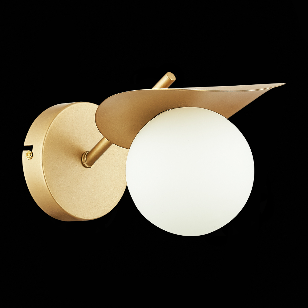 Светильник настенный Evoluce Bolzano SLE220501-01