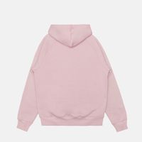  Толстовка мужская Carhartt WIP Hooded Chase Sweatshirt артикул:I033661_glassy_pink - купить в магазине Дайс