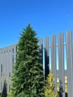 Туя искусственная (Литая хвоя) от 0,6 м до 2,3 м