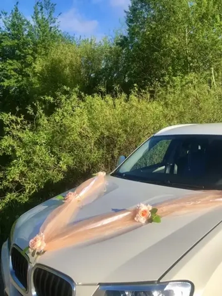 Лента на капот