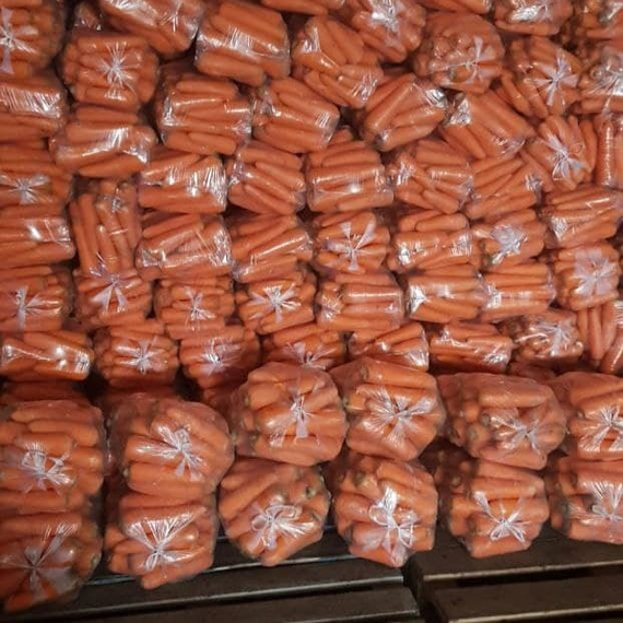 Сильвано F1 семена моркови курода/шантане (Vilmorin / Вильморин) – фото 2