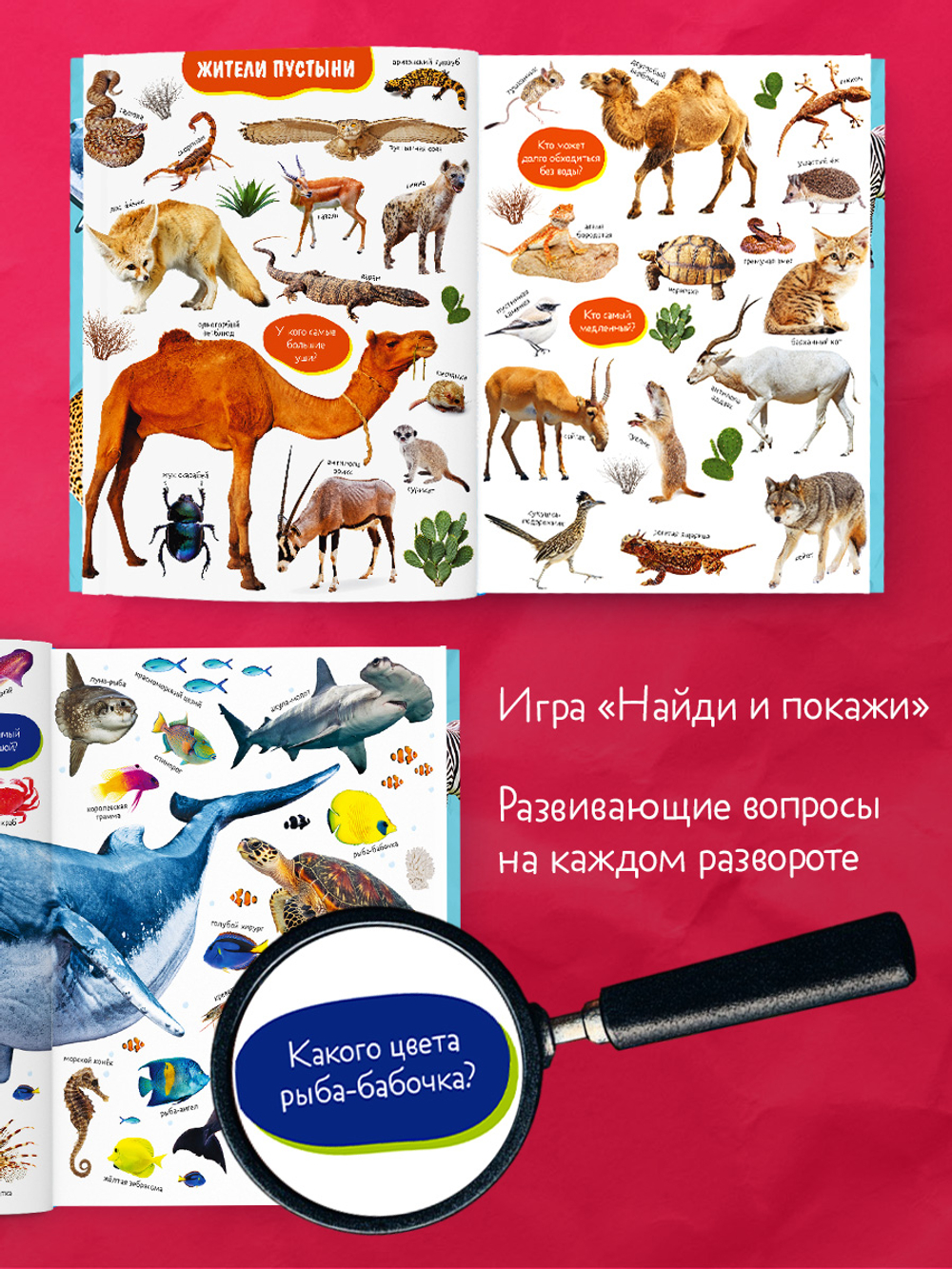 Первые книжки малыша. Большая фотокнига животных