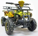 Электроквадроцикл Green Camel Гоби K21 (36V 800W R6 Цепной привод)