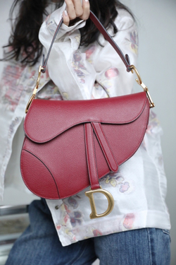 Christian Dior Saddle Bag 25 cm