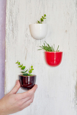 Набор мини-кашпо pocket красный,белый,черный