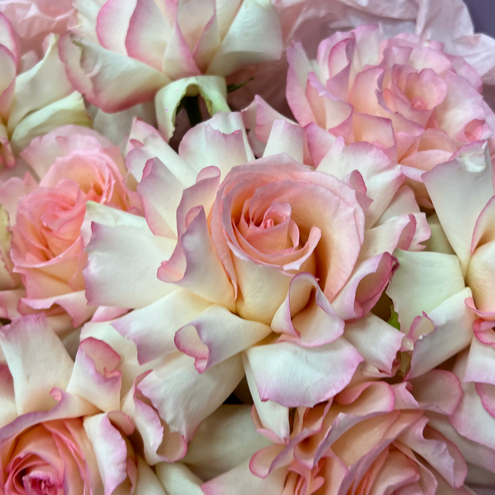 Букет из розовых французских роз #40