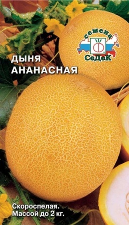 Дыня Ананасная Ц СеДеК