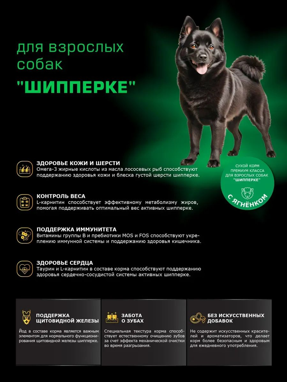 Корм сухой для взрослых собак породы Шипперке, с ягненком, 12 кг, QUATTRO