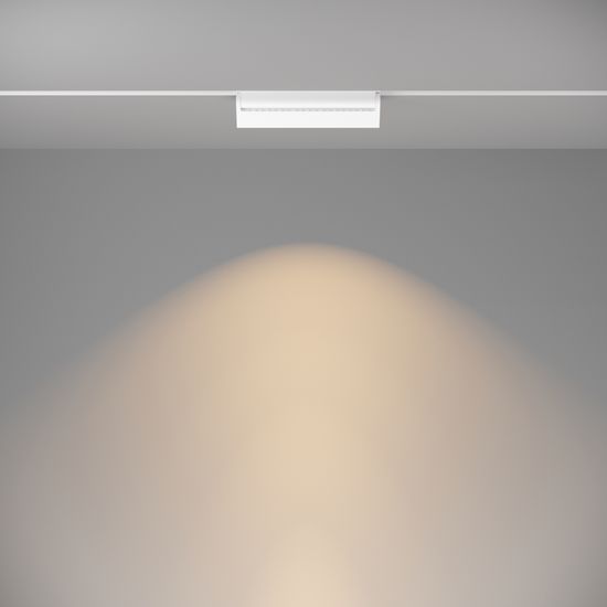 Трековый светильник Technical TR075-2-20W3K-W