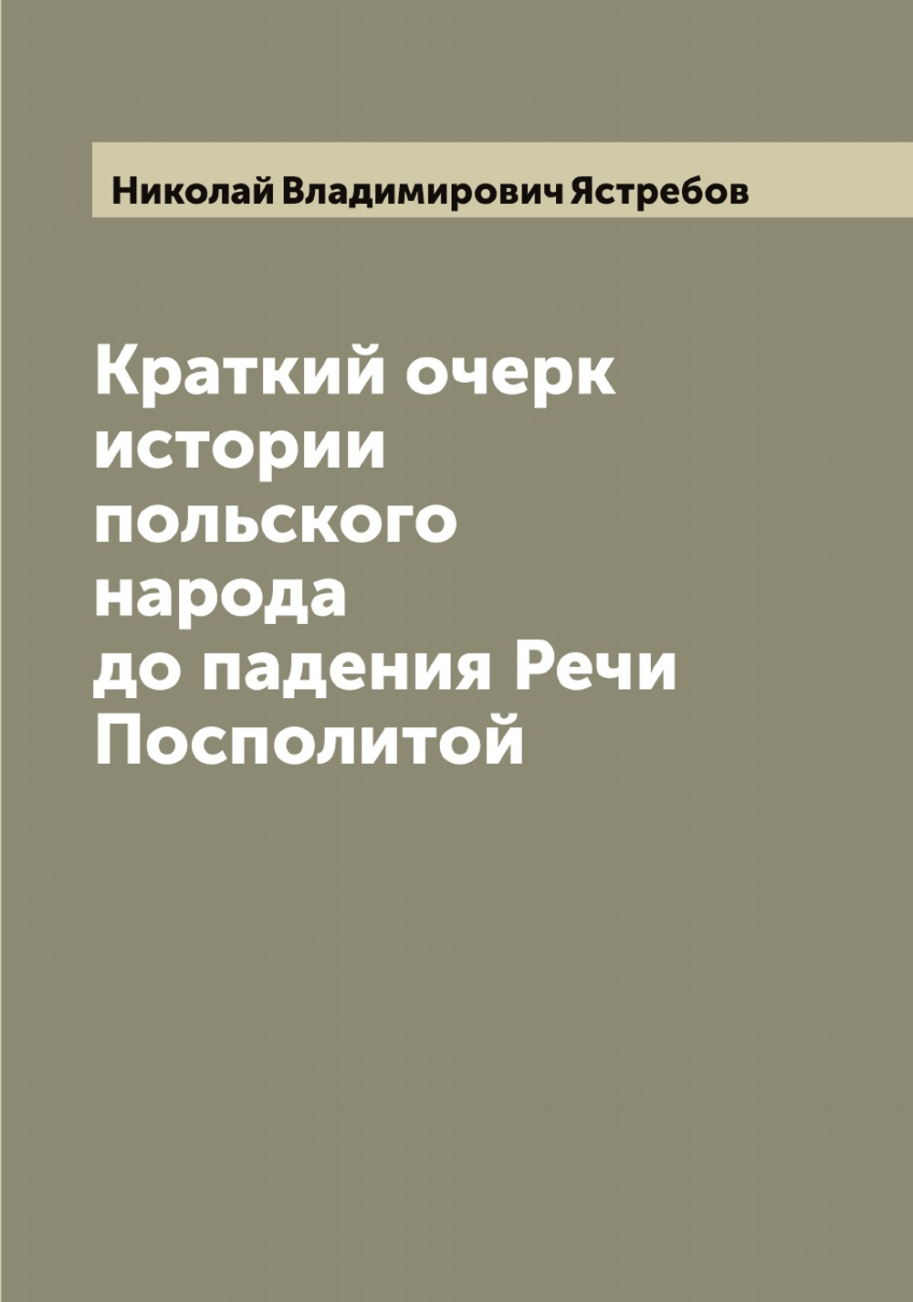 Краткий очерк истории польского народа до падения Речи Посполитой | Николай Владимирович Ястребов