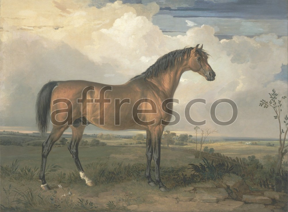 Фреска James Ward, Eagle a Celebrated Stallion