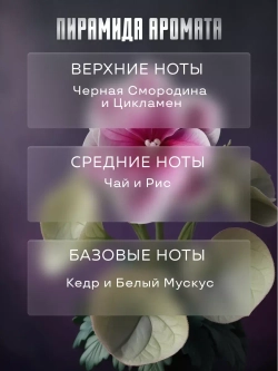 Парфюмерная отдушка Prof-Royal "Umbrella", чёрная смородина, жидкая, 30мл
