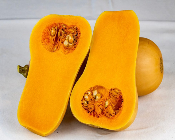 Миелуна_F1_семена_тыквы_Sakata_купить_тыкву – фото 2