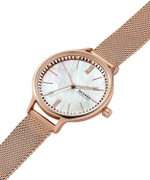 Женские наручные часы Skagen SKW2865