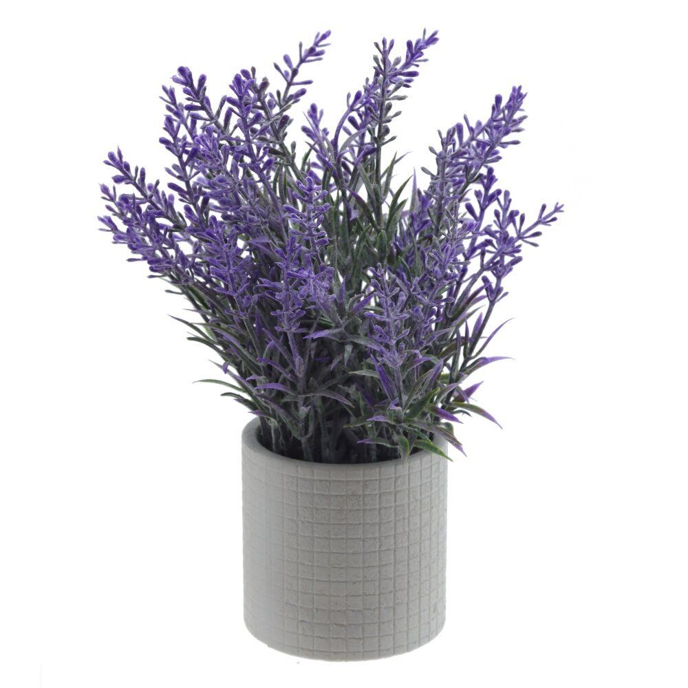 GAEM Цветочная композиция "Лаванда", L8 W8 H25 см