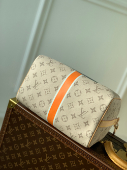 Louis Vuitton Speedy 25