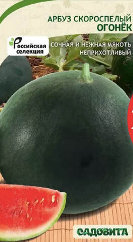 Арбуз Огонек 1г Садовита