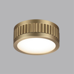 Потолочный светильник ODEON LIGHT 7013/7CL