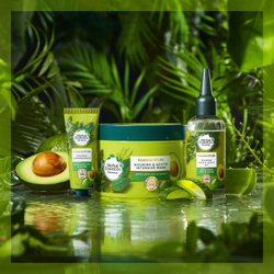 Herbal Essences Essences of Life Avocado Oil - питательная маска для волос /   450  ml  / GTIN 8006540178416