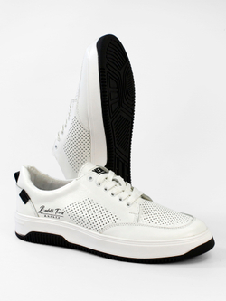 Кроссовки мужские P4400-1V