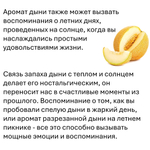 Дыня, кубики восковые для ароматизации, 10 штук