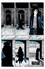 Комикс The Sandman. Песочный человек. Том 7. Краткие жизни