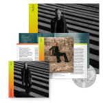 Sting / The Bridge (Deluxe Edition)(CD)