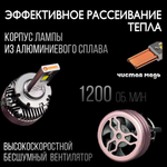 Автолампы светодиодные A2-D2