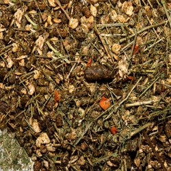 Грудной Сбор