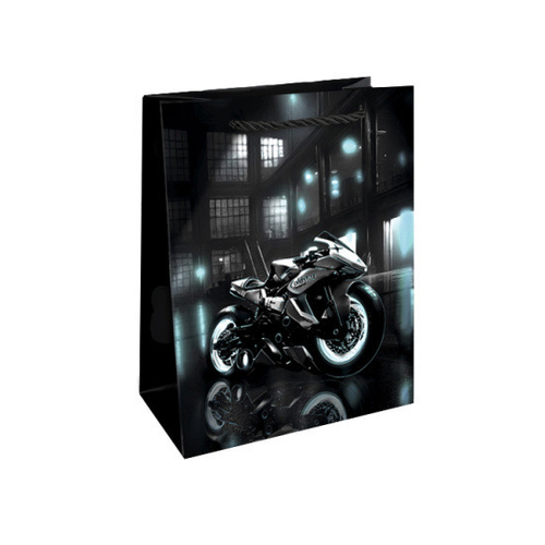 Пакет подарочный 18*23*10 см Mото (253698)