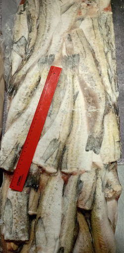 Минтай с/м б/г 30-35