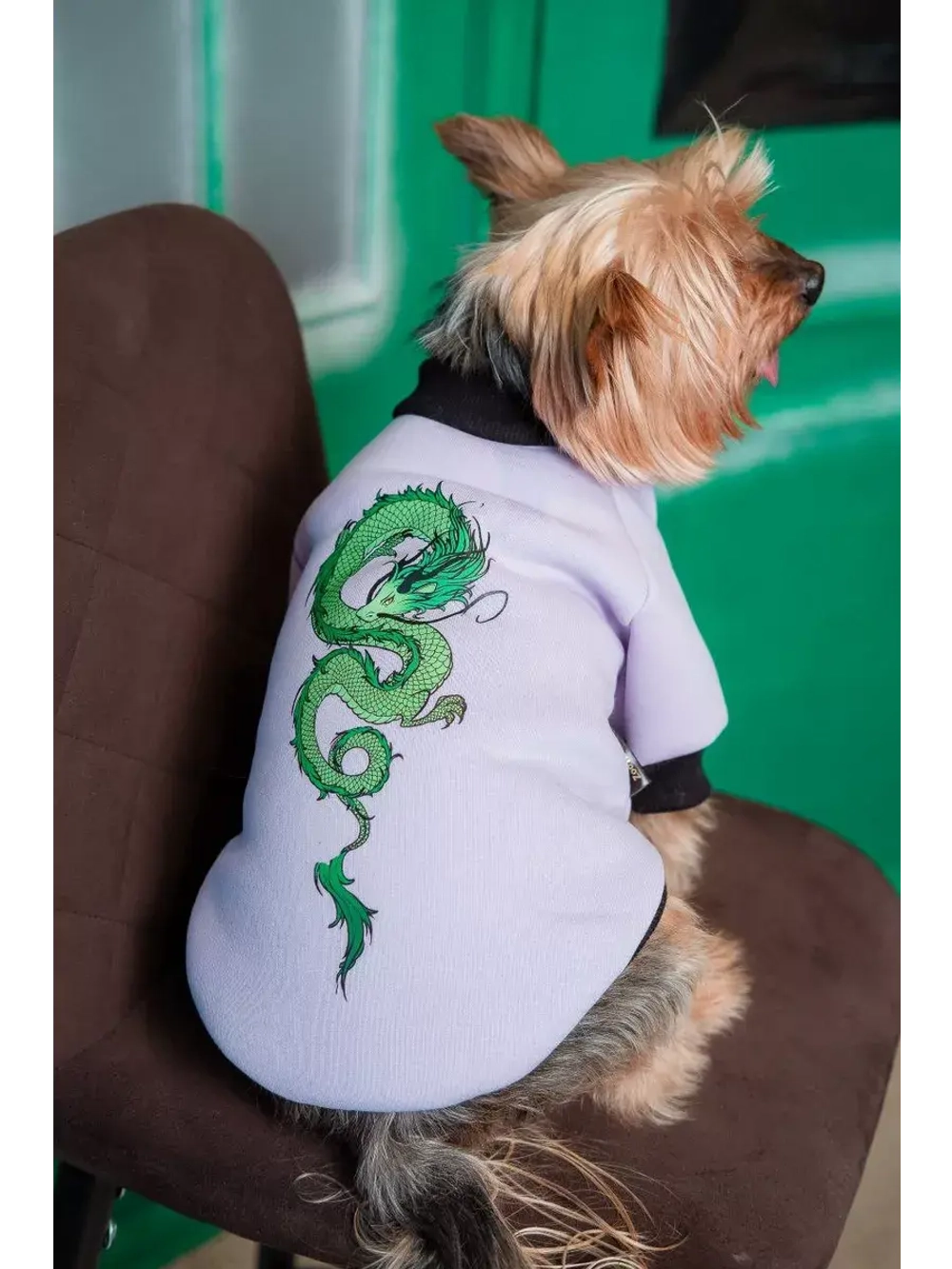 Толстовка для собак и кошек