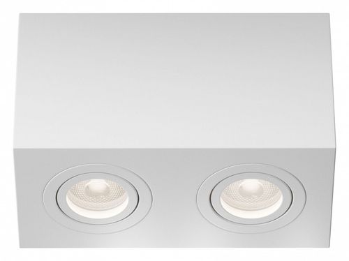 Накладной светильник Maytoni Technical C017CL-02W