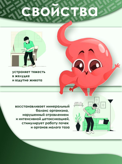 Комплекс Solimo для печени Экстракты куркумы, устриц и Шидзими, (60 дней)