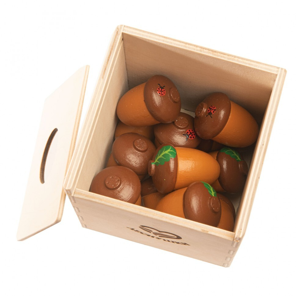 Счетный материал 12 желудей в коробочке-сортере