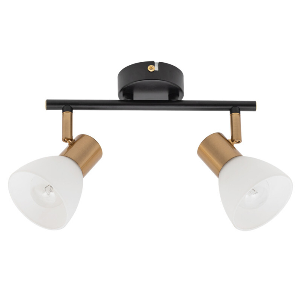Спот Arte Lamp A3117PL-2BK