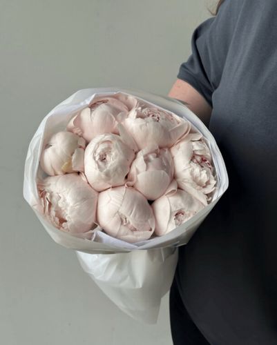 9 Свежих пионов ( Голландия )