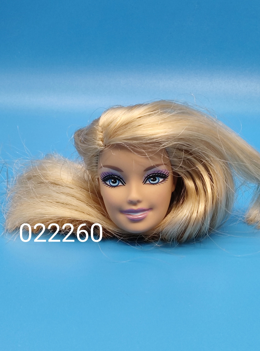 Голова Куклы Барби 022260