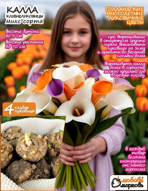 Калла клубнелуковица, Микс сортов, 4шт.