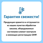 Natural Stacks, Neuro Fuel, 45 веганских капсул