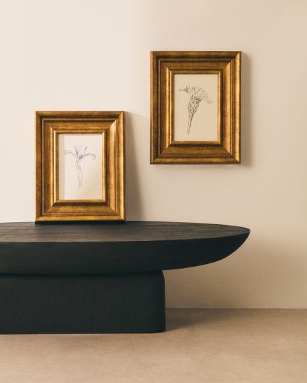 Картина Yalira с ботанической иллюстрацией 70 x 32,8 см