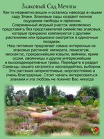Злак Овсяница аметистовая злак многолетний
