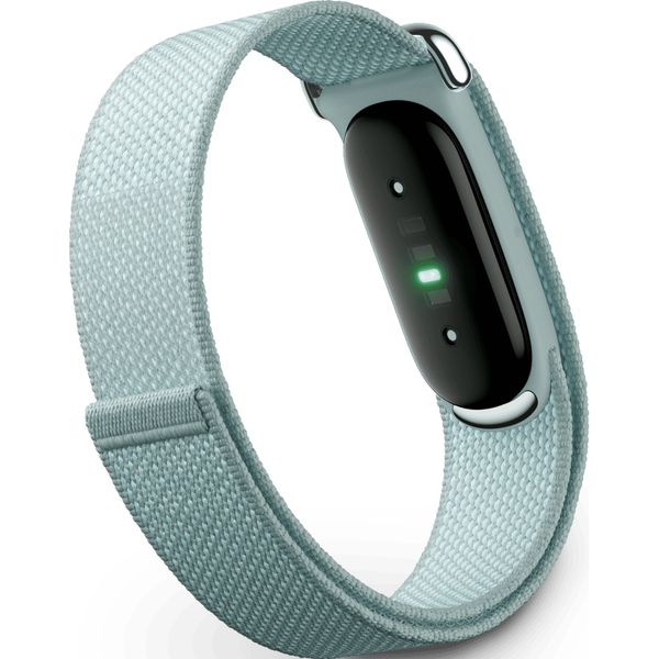 Фитнес-браслет Google Fitbit Air Activity Tracker (2026) Серый туман | Fog
