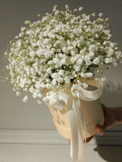 Трендовая гипсофила в разноцветной гамме (КМ0001)