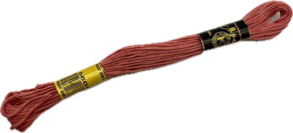 Нитки вышивальные Мулине 10м (5604)