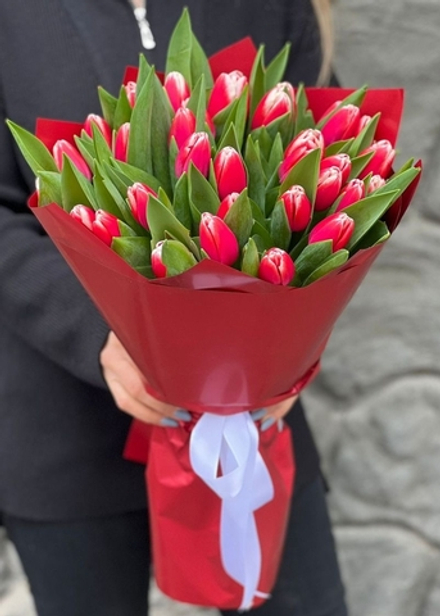 31 красный тюльпан