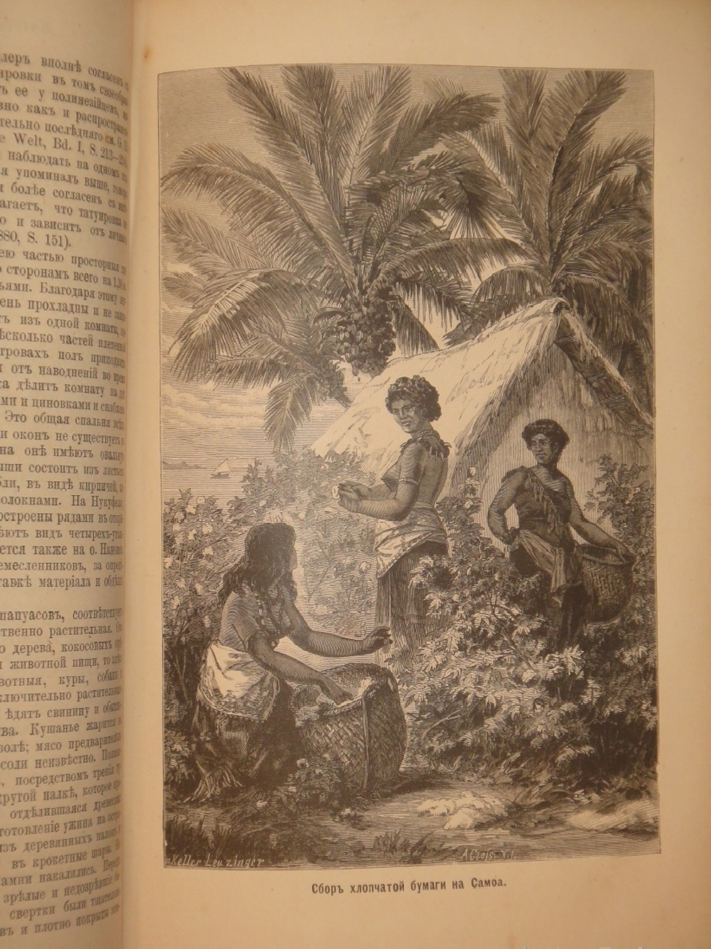 "Естественная история племен и народов. В двух томах". Фридрих Гельвальд. 1885г.