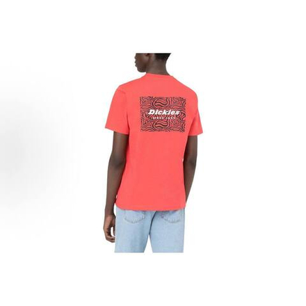 Футболка Dickies