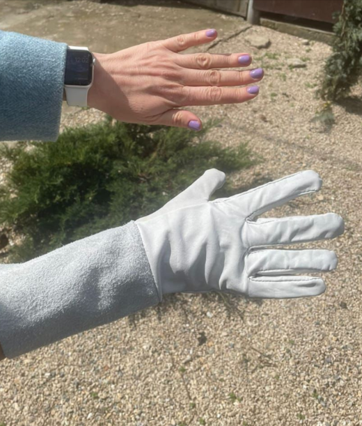 Перчатки размер 9 Закупка М26 получение март 2026